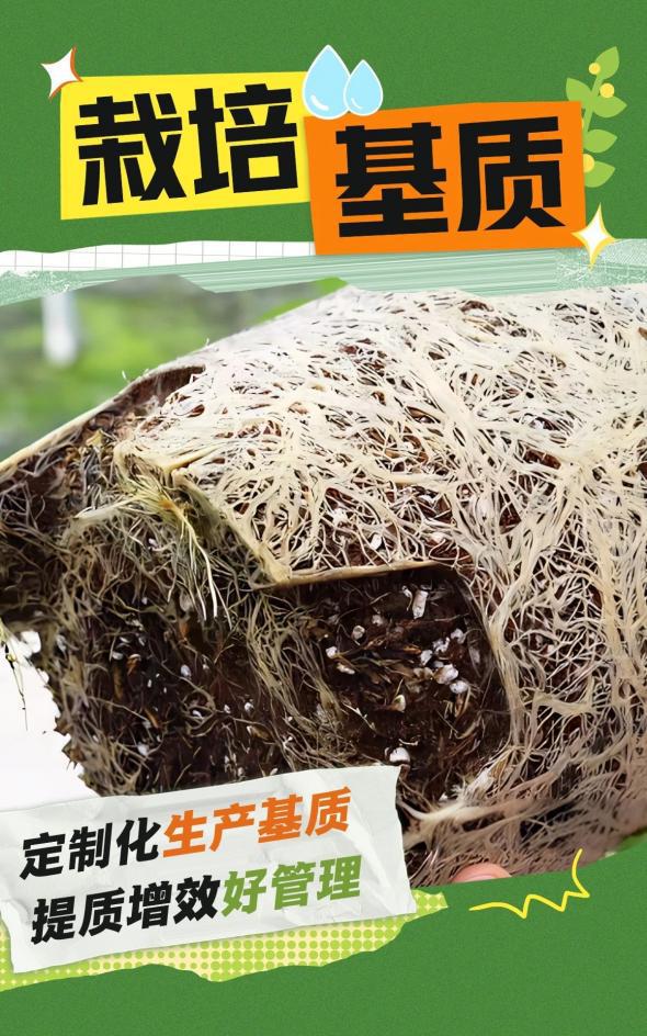 联塑农业种植产品合集让你的种植“节本增效”(图4)