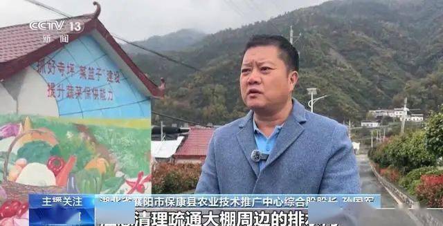 寒潮下蔬菜如何稳产保供？ope体育入口(图3)