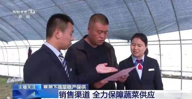 寒潮下蔬菜如何稳产保供？ope体育入口(图9)