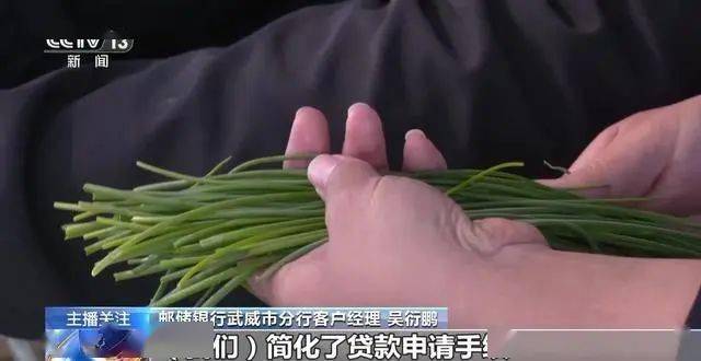 寒潮下蔬菜如何稳产保供？ope体育入口(图10)