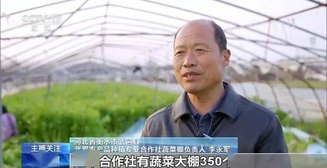 寒潮下蔬菜如何稳产保供？ope体育入口(图12)