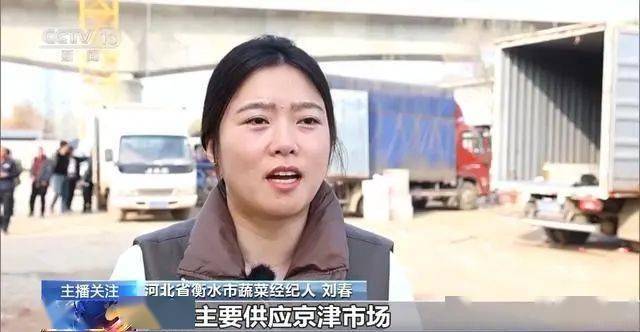 寒潮下蔬菜如何稳产保供？ope体育入口(图14)