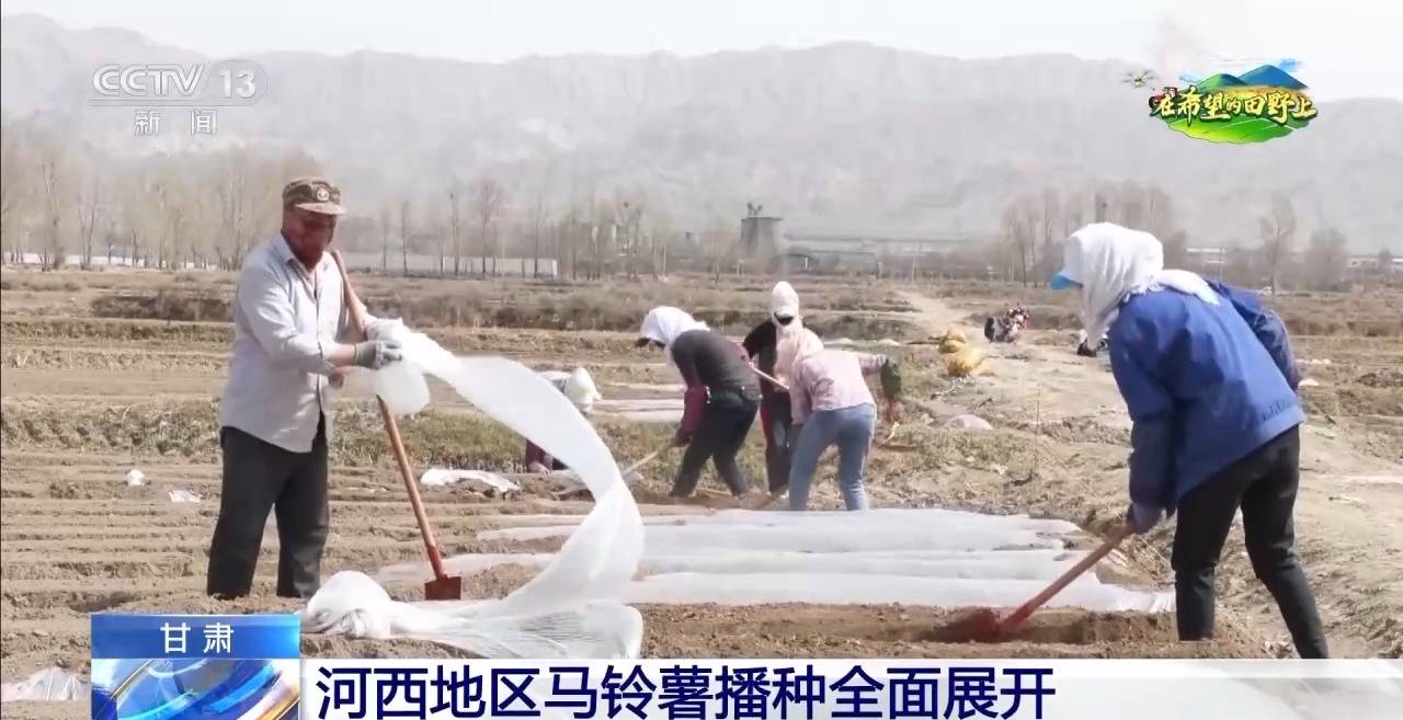ope体育平台棉花套种孜然智能化播种……各地春播有序推进(图1)