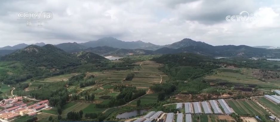 水果刺客→亲民爆款 科技为百姓“果盘子”注入“鲜”力量(图5)