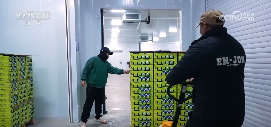 水果刺客→亲民爆款 科技为百姓“果盘子”注入“鲜”力量(图11)
