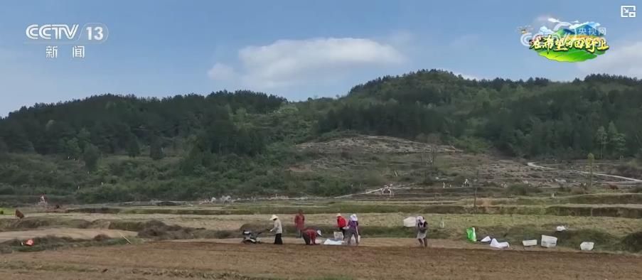 特色产业“多点开花” 绘就致富好“丰”景(图1)